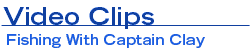 Video Clips