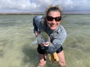 09B0E96C-090C-4EA7-9190-930FC2E726DC