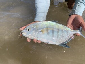 18632D86-6AC7-49F7-898C-9F76D1E8708B