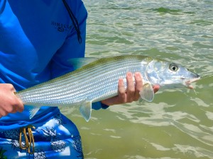 B4D5F0CD-726A-42CD-8776-BA8FC354E384